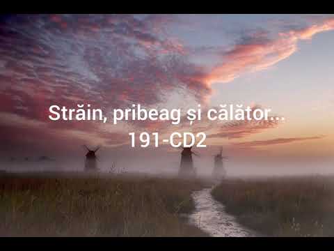 Strain, pribeag si calator - Nicolae Moldoveanu