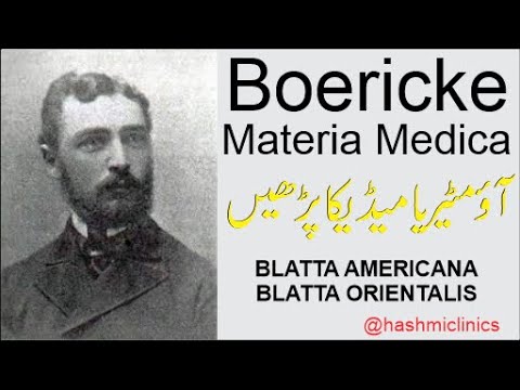 BLATTA AMERICANA | BLATTA ORIENTALIS | Boericke materia medica | hashmiclinics | homeoz
