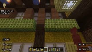 マインクラフト♪🐯🐈🐈‍⬛