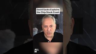 Thumbnail for David Sacks: The Chip Stock Crash is Based on Momentum, NOT Fundamentals