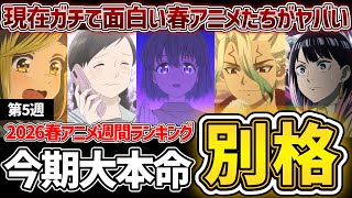 【第5週】現在ガチで面白いおすすめの春アニメたちがヤバすぎる...！2026年春アニメ週間ランキングTOP5【淡島百景】【上伊那ぼたん】【Dr.STONE】【あかね噺】【とんがり帽子のアトリエ】