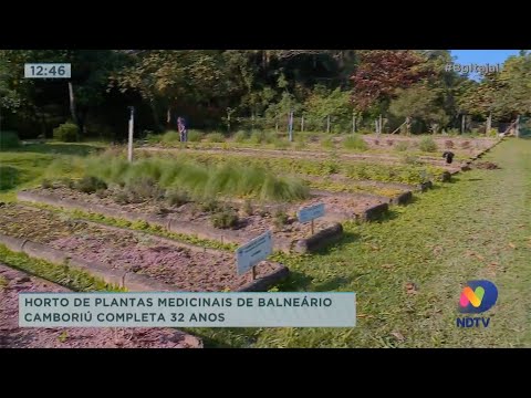 Horto de plantas medicinais de Balneário Camboriú completa 32 anos