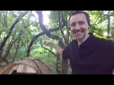 Qrp overnight dx activation - 13/6/2021