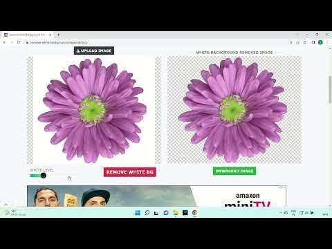 Replace white background with transparent online - IMG online