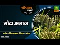 Chaupal Charcha चौपाल चर्चा मोटा अनाज DD Kisan June 01 2023