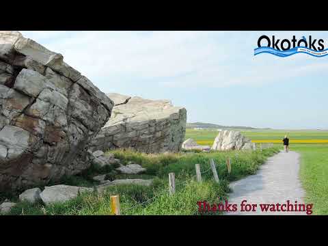 2020 Sentinel Storage AB Scotties Opening Ceremonies