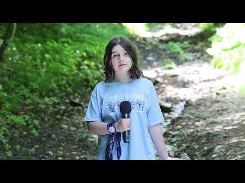 În cât timp se descompun deșeurile din păduri - Cristina Ghita