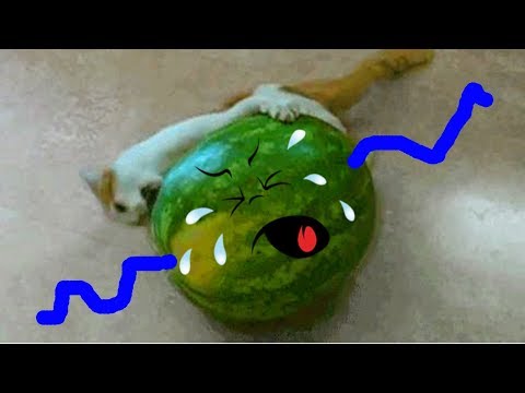 Secret World Of Funny Things- Compilation Real Life Doodles