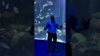 Johnny Morris Foundation - Wonders of Wildlife National Museum and Aquarium LCS-2020 video