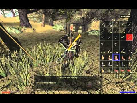 Lets Play Gothic 2 DNDR Part 318 - Jede Menge Feinde