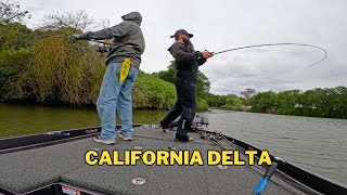 CBL Tournament of Champions on the California Delta