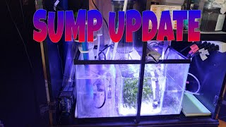 How to setup a SUMP Refugium