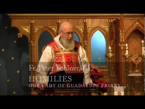 Dec 26 - Homily: St. Stephen