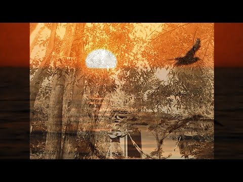Passarinhando Ao Léu - Paulo Ciranda