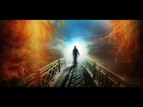 Трейлеры Счастливый парень