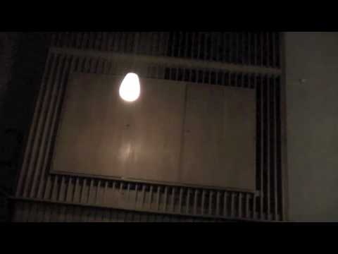 Verkündigung des Herrn - Einzug - 25.03.2010 GL 805/1+3