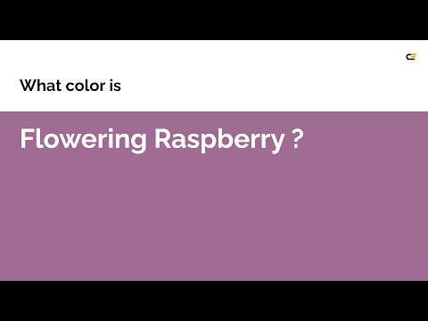 Flowering Raspberry color #a16c94 hex color - Violet color - Cool color a16c94