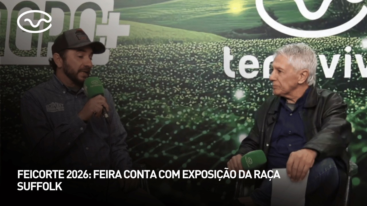 Feicorte 2026: feira conta com exposição da raça suffolk