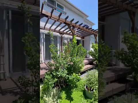 pergola-bois-massif-mobilir-rotin-piscine