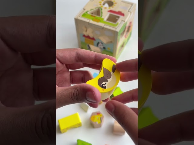 مكعب الغابة الخشبي