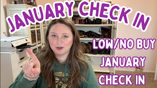 🛑 No Buy/Low Buy Year January Check-In ✨ What I Bought, Skipped & Did Instead!