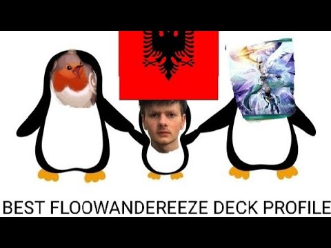 Beste Zugvögel Kochung des albanischen Schwarzmarkts | Floowandereeze Deck Profile