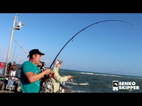 Pier Fishing: Simple fishing rig catches HUGE FISH!