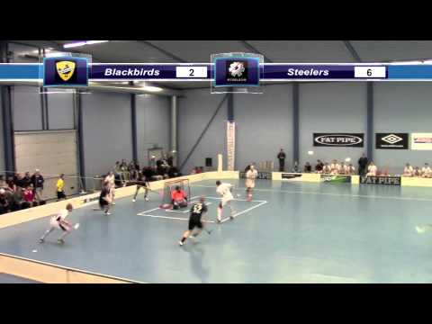 Maalikooste Blackbirds-Steelers 25.1.2013
