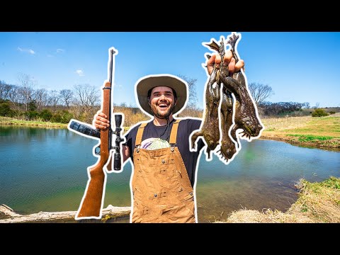 BACKYARD Bullfrog Hunting CATCH CLEAN COOK!!!!