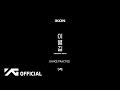 iKON - Goodbye Road (Dance Practice Version)