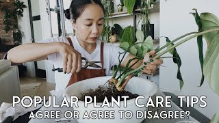popular plant care tips - agree or agree to disagree? PART 3
