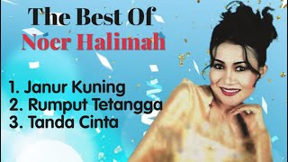 Download lagu Noer Halimah - Janur Kuning - Rumput Tetangga - Tanda Cinta mp3 Download lagu Noer Halimah - Janur Kuning - Rumput Tetangga - Tanda Cinta mp3