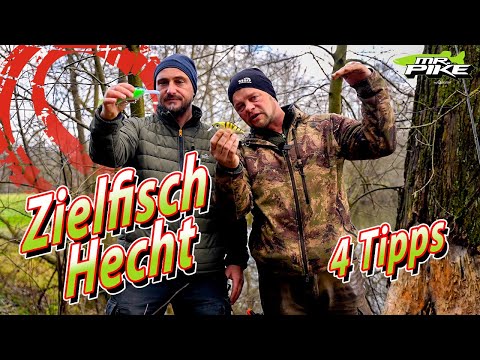 Spinnfischen auf Hecht mit Kunstköder - 4 Tipps!