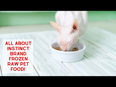 All About Instinct Brand Frozen Raw Pet Food!