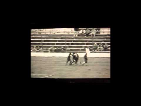 Gols Luis Fernando - Central Brasileira.wmv