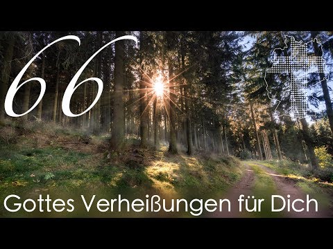 Gottes Verheißungen für Dich - 2. Korinther 3,17 | Videokalender 66/365 - Deutschland braucht JESUS