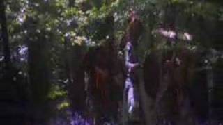 Monty Python The Tale of Sir Robin ( long version )