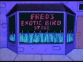 Fraidy Cat CARTOON HOUR