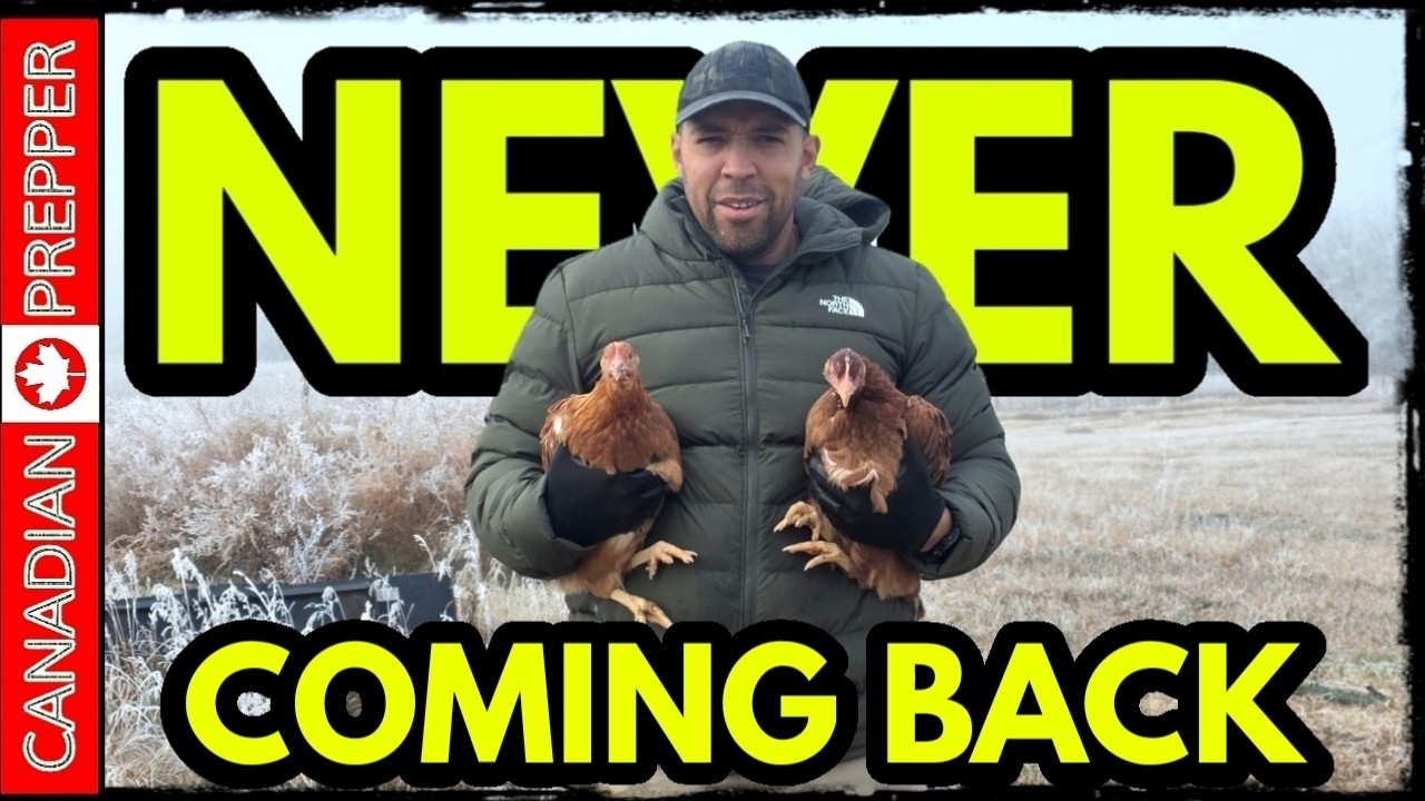 My Apocalypse Retreat.