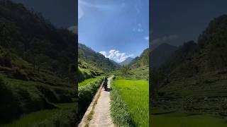 Download lagu Naff - Terendap Laraku #naff #terendaplaraku #katabijak #shorts mp3