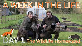 A WEEK IN THE LIFE - HOMESTEAD LIFE - WILDLIFE OASIS
