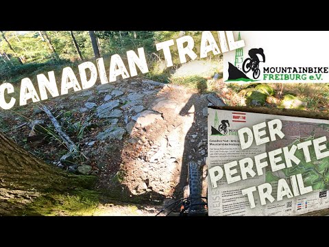 Dieser Trail ist richtig gut | Canadian Trail | MTB Freiburg e.V. | 2023