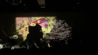 Forever Heavy Black Moth Super Rainbow