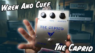 Video thumbnail for RIFF BOX! Wren And Cuff The Caprid Fuzz! by Riffs, Beards & Gear