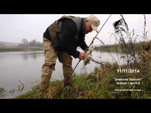 jesienne bolenie - dzień drugi