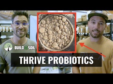 BuildASoil Product Highlight: THRIVE PROBIOTICS YAH-WHEY