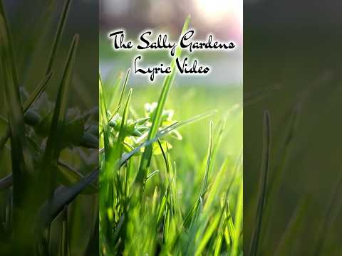 THE SALLY GARDENS - Live Full Band Cover with Lyrics (vocals,violin,flute,guitar,bass) #irishmusic