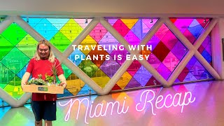 How I Travel (Flying) With Plants | Miami Plant Haul