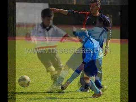 Pulcini 99 Sestese-Angera