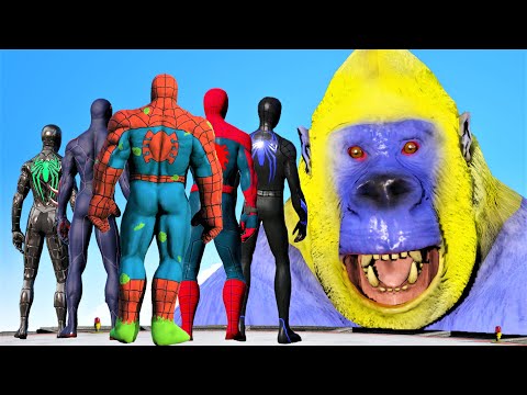 Spider-Verse | Spiderman & Spider-Hulk & Spider Man 2099  VS King Kong